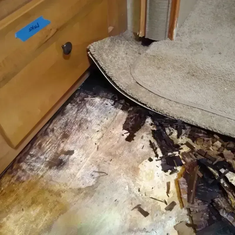 Wood Floor Water Damage in Scott County, AR